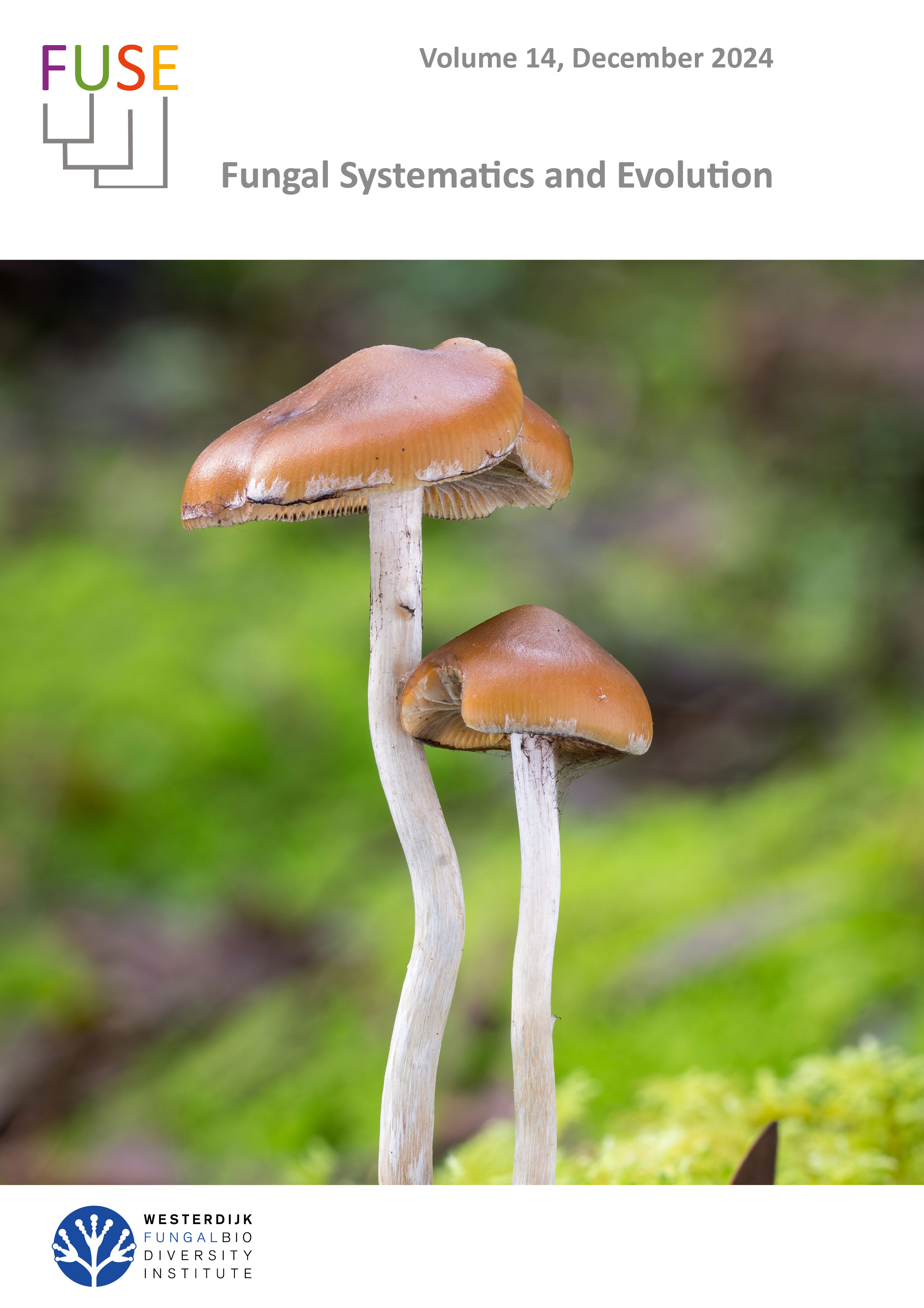 FUSE volume 14